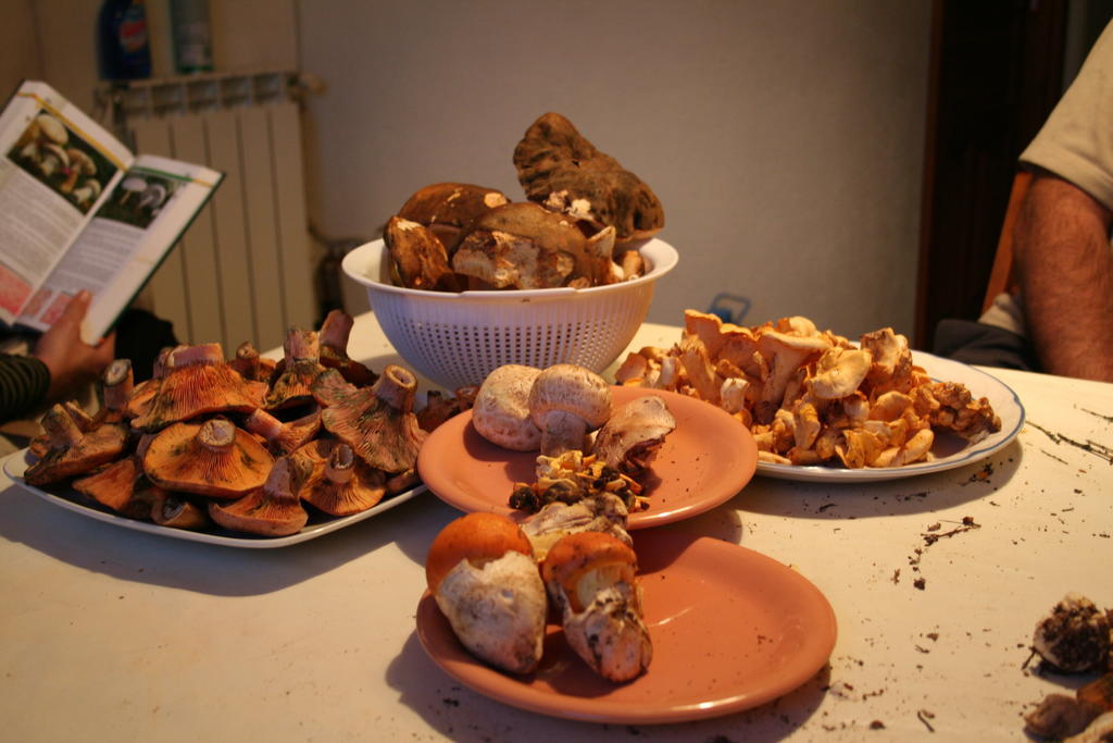 Antigua Casa Catones Hotel Huesca Kültér fotó